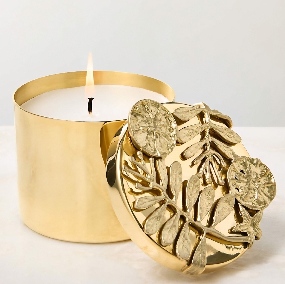 Oak + Grapefruit Scented Candle 14oz with Unlacquered Brass Lid